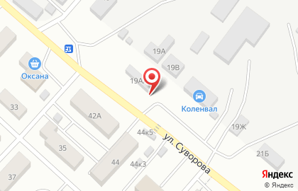 Магазин разливного пива Пивной Причал на улице Суворова на карте