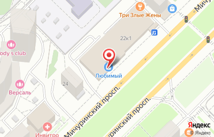 Магазин Деликатесы Стерео на Мичуринском проспекте на карте