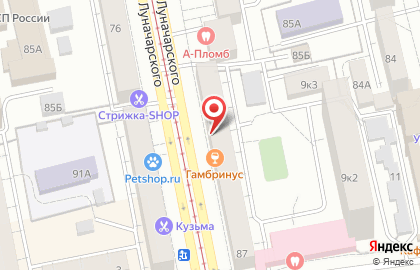 Бар Гамбринус на улице Луначарского на карте