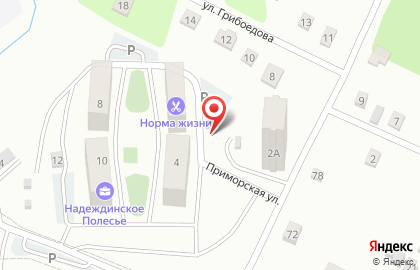 Продуктовый магазин Надежда на Приморской улице на карте