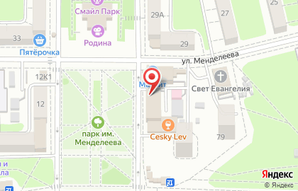 Библиотека №9 на улице Менделеева на карте