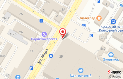 Жасмин на улице Мира на карте