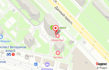 Медицинская компания Инвитро на проспекте Ветеранов на карте
