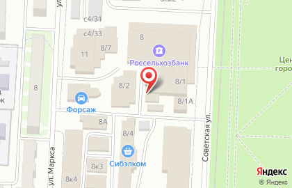 Частное охранное предприятие Скиф на Советской улице на карте