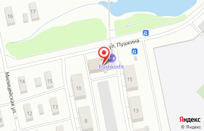 Тонировочный центр Avtocentr на улице Пушкина на карте