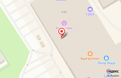 Магазин цифровой и бытовой техники DNS на Лесном проспекте на карте