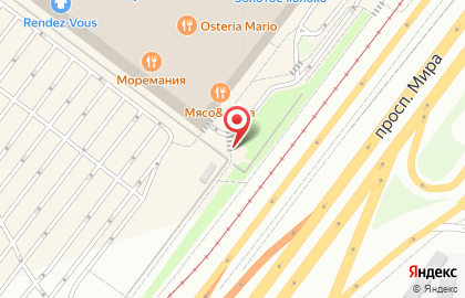Vangold в Свиблово на карте