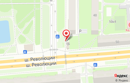 Магазин рыбы в Санкт-Петербурге на карте
