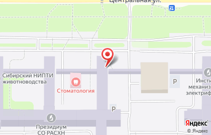 ООО Сибирские Жилые Кварталы на карте