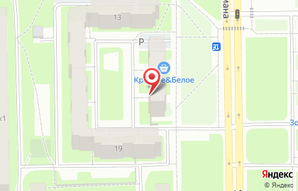 СКОРПИОН СПб на карте
