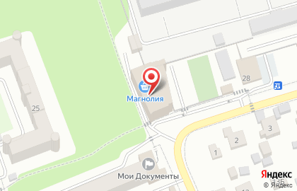 Удобный магазин Магнолия в Красногорске на карте