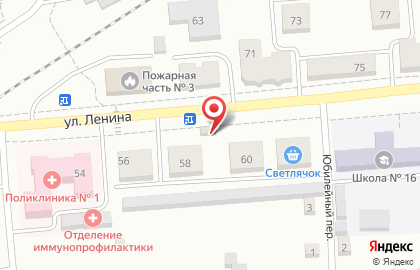 Магазин Камелия на улице Ленина на карте