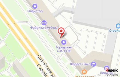 СЭС на Софийской улице на карте