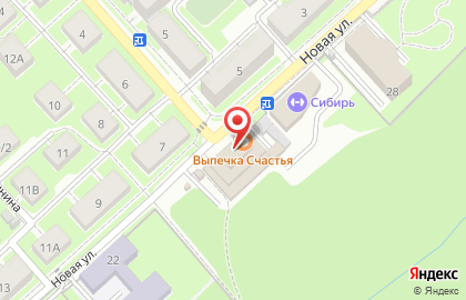 Фирменный магазин Медный Великан в Заельцовском районе на карте