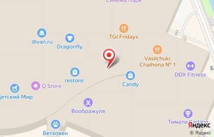 Фирменный магазин Garmin на Котельниках на карте