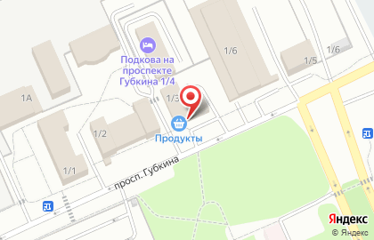 Автомагазин АвтоГазмаг на проспекте Губкина на карте