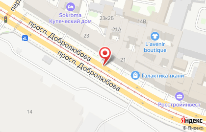 Продовольственный магазин на проспекте Добролюбова на карте