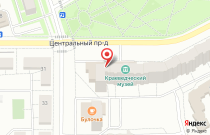 Центральная городская библиотека им. И.Ф. Горбунова на карте