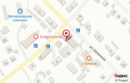Магазин у дома Бристоль на Калинина на карте