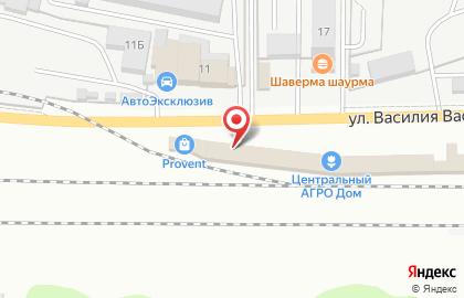 Шиномонтажная мастерская Аргон на улице Василия Васильева на карте