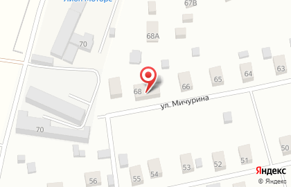 Компания TrotuarTrest на улице Мичурина на карте