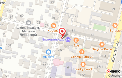 Туристическая фирма Джунгли Тур на Рашпилевской улице на карте