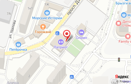 Спортивная школа Патриот на проспекте Дзержинского на карте