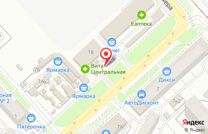 Зоомагазин Рыжий пес на улице Урицкого на карте