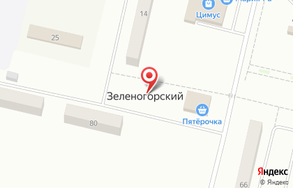 РЕНЕССАНС в Зеленогорском на карте