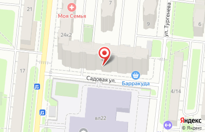 Сервисный центр Свой Мастер на улице Пушкина на карте