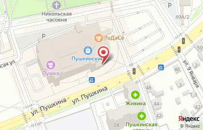 Салон связи Связной на улице Пушкина на карте