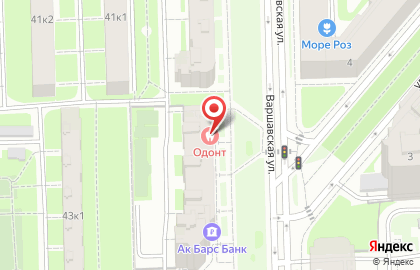 Зоомагазин Вака на метро Московская на карте