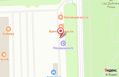 Шиномонтажная мастерская ПокрышкинЪ на Пулковском шоссе на карте