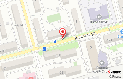 Зоомагазин Винни-Пух на Трудовой улице на карте
