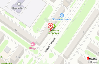 Магазин разливного пива Лит.Ра РАЗ.ЛИВ на бульваре Гусева на карте