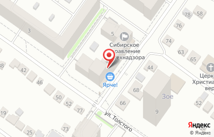 Аптека Лекторг на улице Толстого на карте