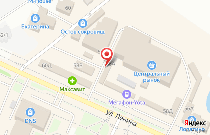 Магазин хозяйственных товаров 1000 мелочей на улице Ленина на карте