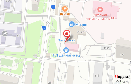  СамПРАЧКА в Химках на Мичурина на карте