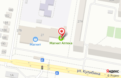 Зоомагазин в Челябинске на карте