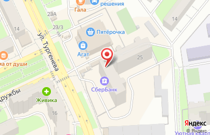 Стаут на улице Тургенева на карте