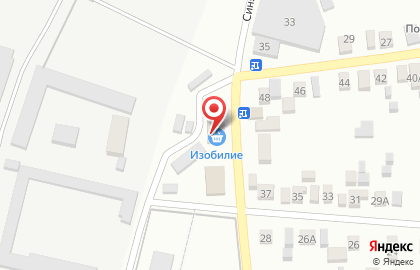 Продуктовый магазин Изобилие в Ростове-на-Дону на карте
