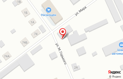 Магазин сельхоззапчастей на улице М.Горького на карте