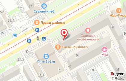 Торговый дом Альпин на Чекистов на карте
