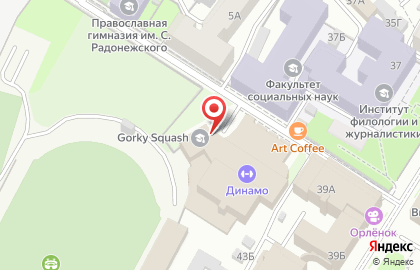 Нижегородская региональная общественная организация Динамо в Университетском переулке на карте