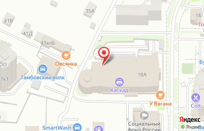 Автосервис Вираж на проспекте Максима Горького на карте