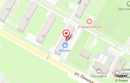 Фабрика надежных дверей Витязь на улице Ленина на карте