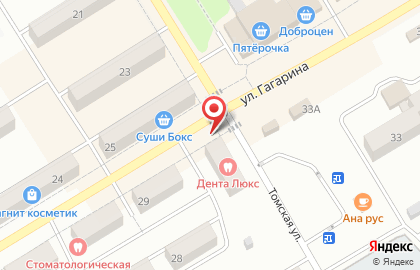 Фирменный минимаркет Брудер на улице Гагарина на карте