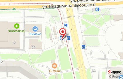 Магазин продуктов Альянс на улице Владимира Высоцкого на карте