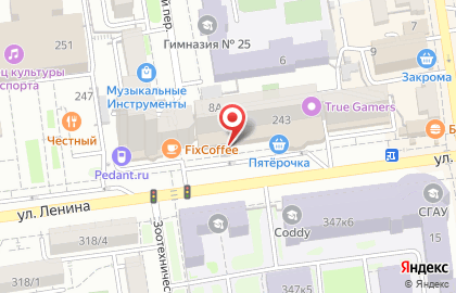 Магазин хозяйственных товаров и бытовой химии Копейкин Дом на улице Ленина, 243 на карте