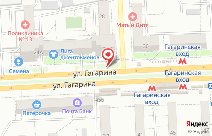 Кошкин дом на улице Гагарина на карте